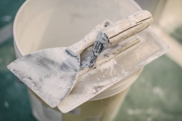 Best Crawl Space Mold Remediation  in Cocoa Beach, FL