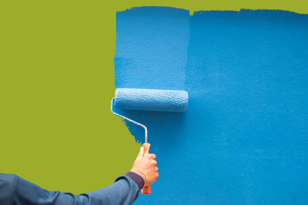 Best Real Estate Mold Inspection  in Cocoa Beach, FL